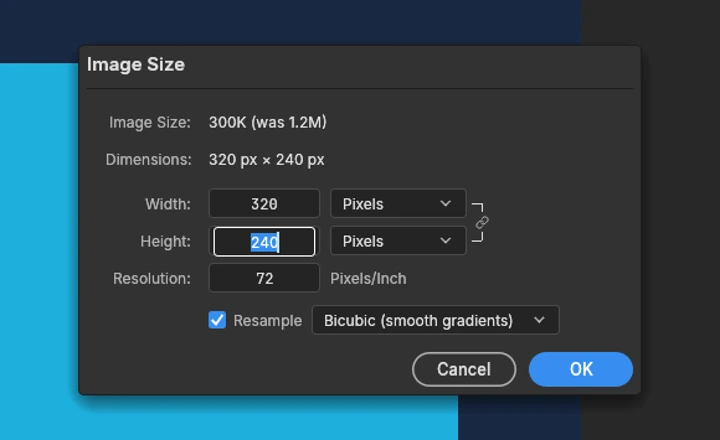 Real PhotoCraft Image Size dialog showing width and height fields